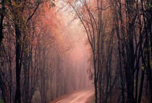 NG28官网:中超第3轮!海港蒋光太缺阵,泰山5外援+4国脚出征,塞鸟迎首秀.