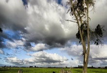 NG28官网:利物浦公布传奇慈善赛名单:杰拉德坐镇中场,克劳奇、库伊特在列.